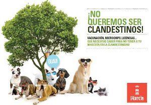 Cartel campaña No queremos ser clandestinos