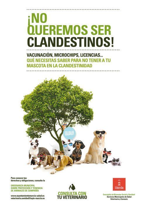 ¡NO QUEREMOS SER CLANDESTINOS! Campaña de concienciación de propietarios de mascotas