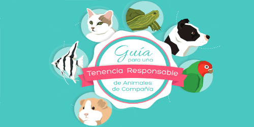 El Ministerio saca una Guía para una Tenencia Responsable de animales de compañía