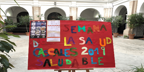 Continuamos asesorando y apoyando a los centros educativos que realizan actividades de promoción de la alimentación saludable y actividad física