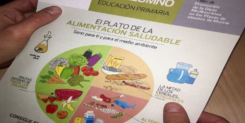 El plato de la alimentación saludable. Sano para ti y para el medio ambiente
