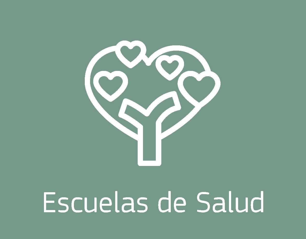 Escuelas de Salud
