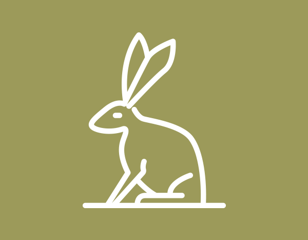 Recogida de animales centro de zoonosis